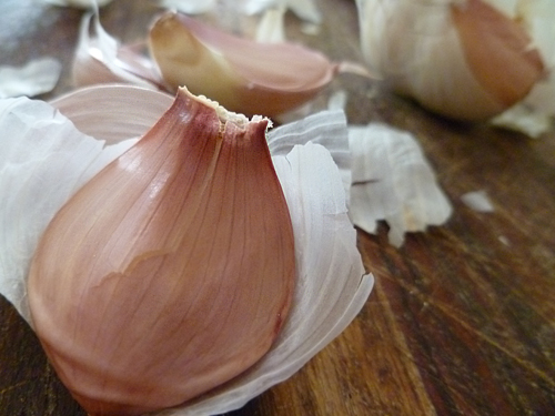 Garlic based recipes